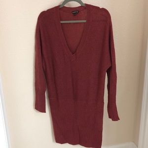 Express tunic sweater dress